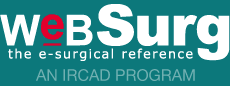 WeBSurg, universidad mundial de cirug&iacute;a en l&iacute;nea