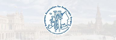 conf-seville-eaes